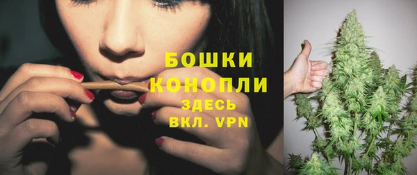 ГАЛЛЮЦИНОГЕННЫЕ ГРИБЫ Володарск